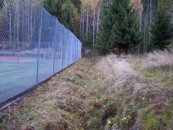 Flott rydda rundt banene